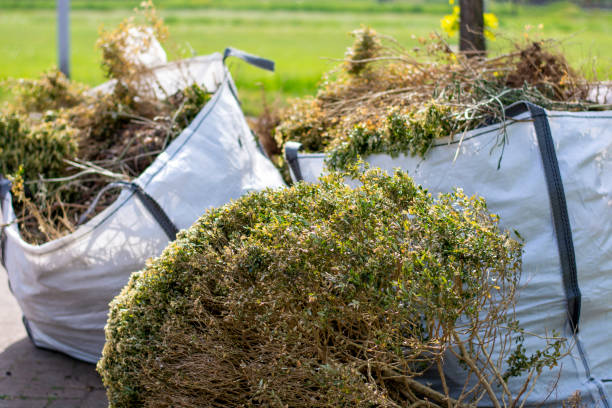 Best Yard Cleanup Services  in Fairmount, GA